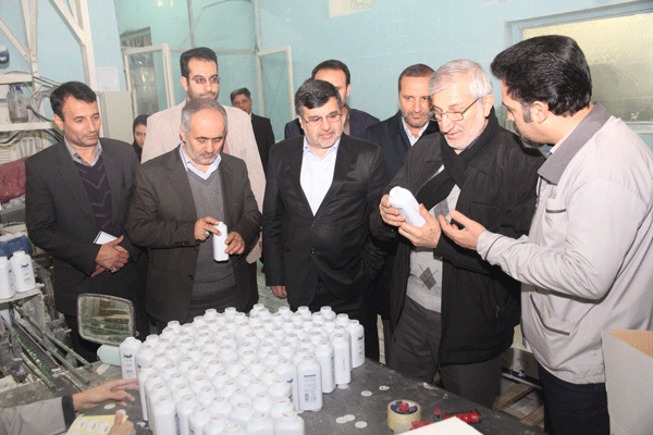 اقتصاد توسعه یافته بدون مشارکت مردم محقق نمی شود