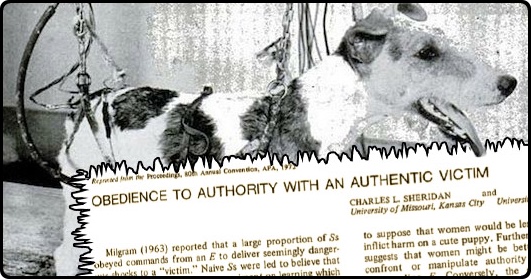 عجیب ترین آزمایش های علمی تاریخ (2)