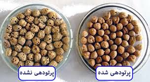 پرتو دهی شاهراه توسعه صادرات محصولات کشاورزی ایران