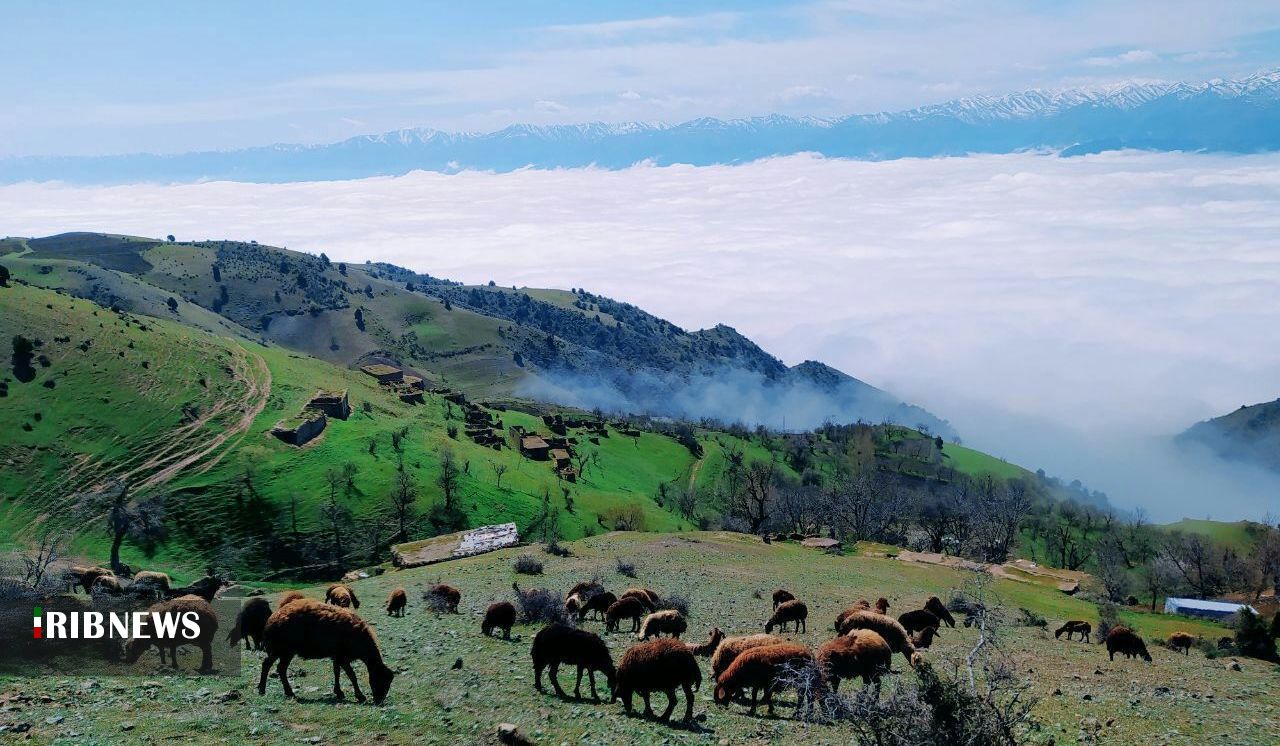 ثبت 336 و نیم میلی متر بارندگی درزنجان برای سال زراعی