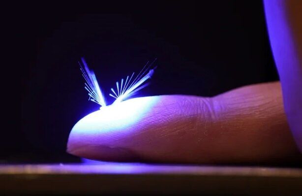 جایگزین زنبور عسل در آینده