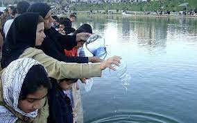 نکات مهمی که باید درباره تهیه و نگهداری ماهی قرمز بدانید