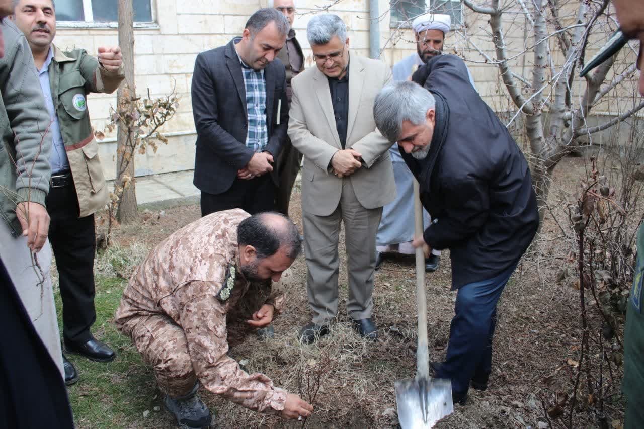 کاشت هزار نهال در پیرانشهر