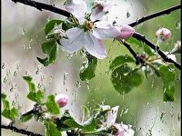 هوای بهاری تا شنبه یکه تاز آسمان گلستان است.