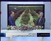 ایران ۴۶؛ دستاورد‌های حوزه کشاورزی در استان سمنان