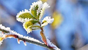 شرایط جوی زنجان ناپایدار می‌شود