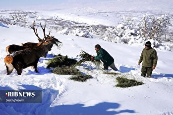 قلم دوربین/۷ اسفند ۱۴۰۳/بسته خبری ۲/ویژه صبح ۸ اسفند