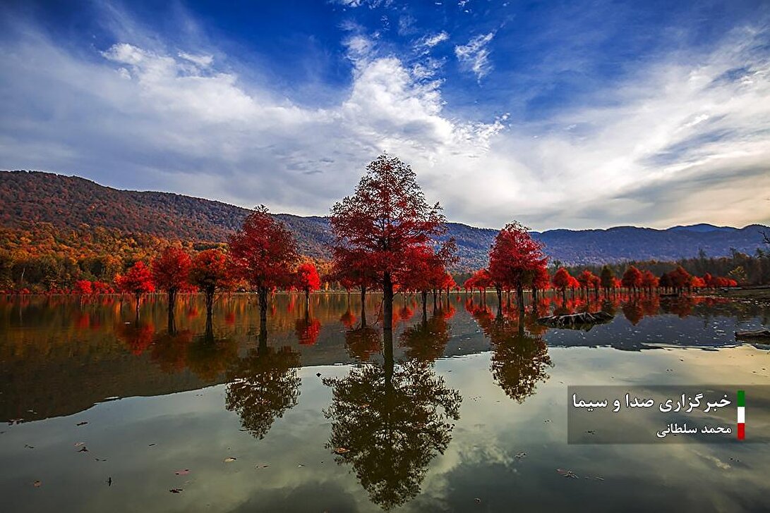 طبیعت استان مازندران در چهار فصل سال