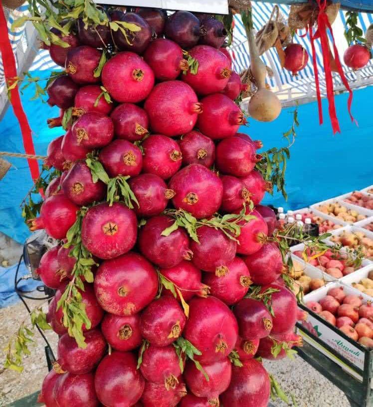 ایج میزبان دومین جشنواره ملی انار