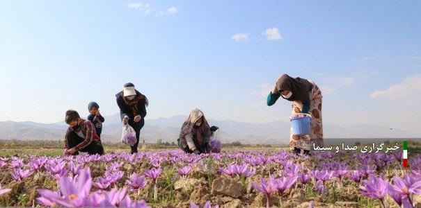 پرداخت ۱۵۰ میلیارد ریال در ۲ سال گذشته برای اشتغالزایی در ملکان