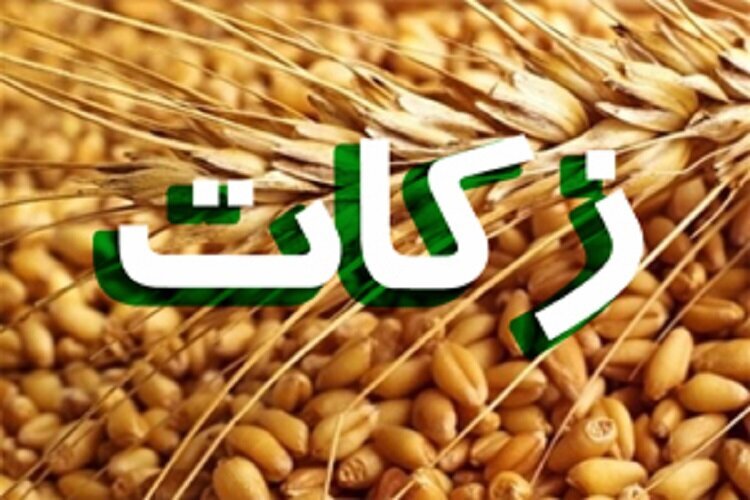 با اشتغال زایی، نیازمندان بی نیاز می‌شوند