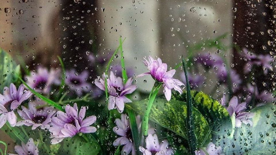 بارش های رگباری مهمان آسمان زنجان