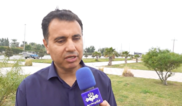 فعالیت سامانه بارشی در بوشهر تا اواخر پنج‌شنبه