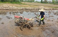 پرداخت تسهیلات برای خرید ماشین آلات کشاورزی صومعه سرا