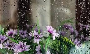 بارش باران از اوایل هفته آینده در انتظار همدانی‌ها