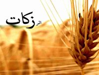 پرداخت بیش از ۴ میلیارد تومان زکات در تاکستان 