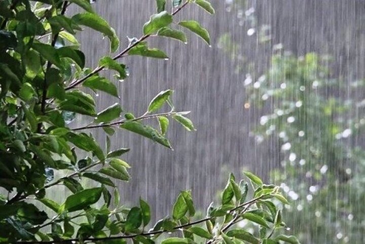 بارش‌های رگباری باران در گیلان همچنان ادامه دارد