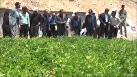 افتتاح و کلنگ زنی طرح‌های کشاورزی در اردل