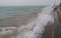 تداوم وزش باد نسبتا شدید شمال غربی در جزایر خلیج فارس