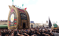 برگزاری آیین سنتی نخل‌برداری عاشورا در استان یزد
