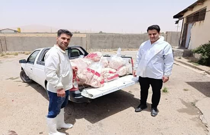 امحا بیش از ۴۰۰ کیلوگرم گوشت مرغ فاسد در الیگودرز