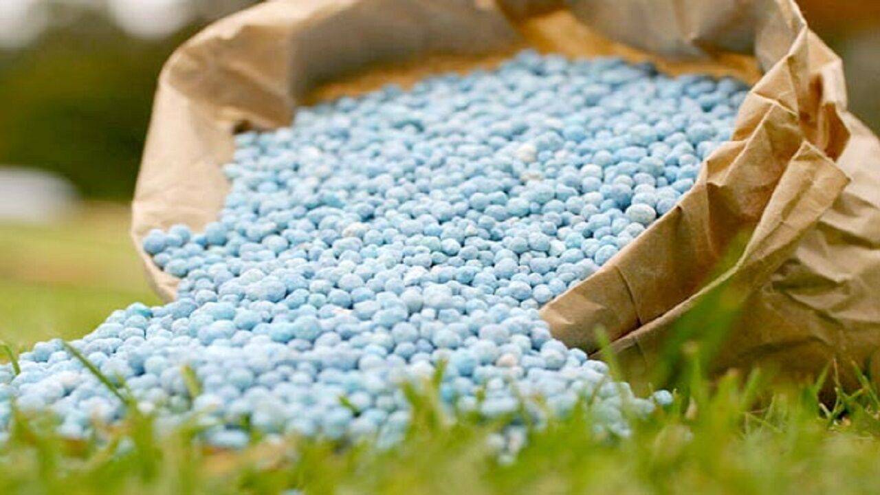 توزیع ۸ هزار تن انواع کود‌های کشاورزی در سه ماهه امسال