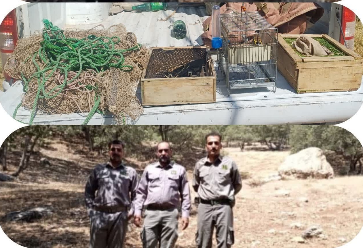 دستگیری صیادان غیر مجاز پرندگان زینتی در منطقه شکار و صید ممنوع هشتادپهلو خرم آباد