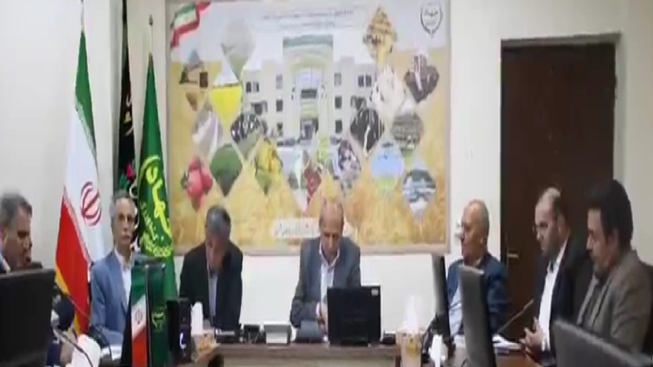 خرید تضمینی ۵۱ هزار تن گندم در آذربایجان شرقی