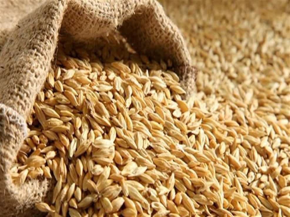توقیف محموله ۱۰ تنی خوراک دام فاقد مجوز در کنگاور