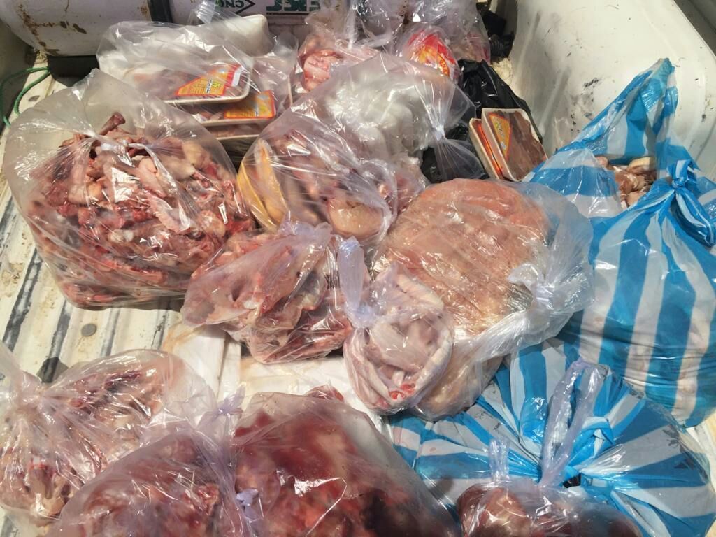 معدوم‌سازی ۲۴۰ کیلوگرم مرغ و گوشت غیرقابل مصرف در شادگان