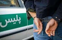 کاهش ۱۴ درصدی سرقت در آذربایجان غربی 