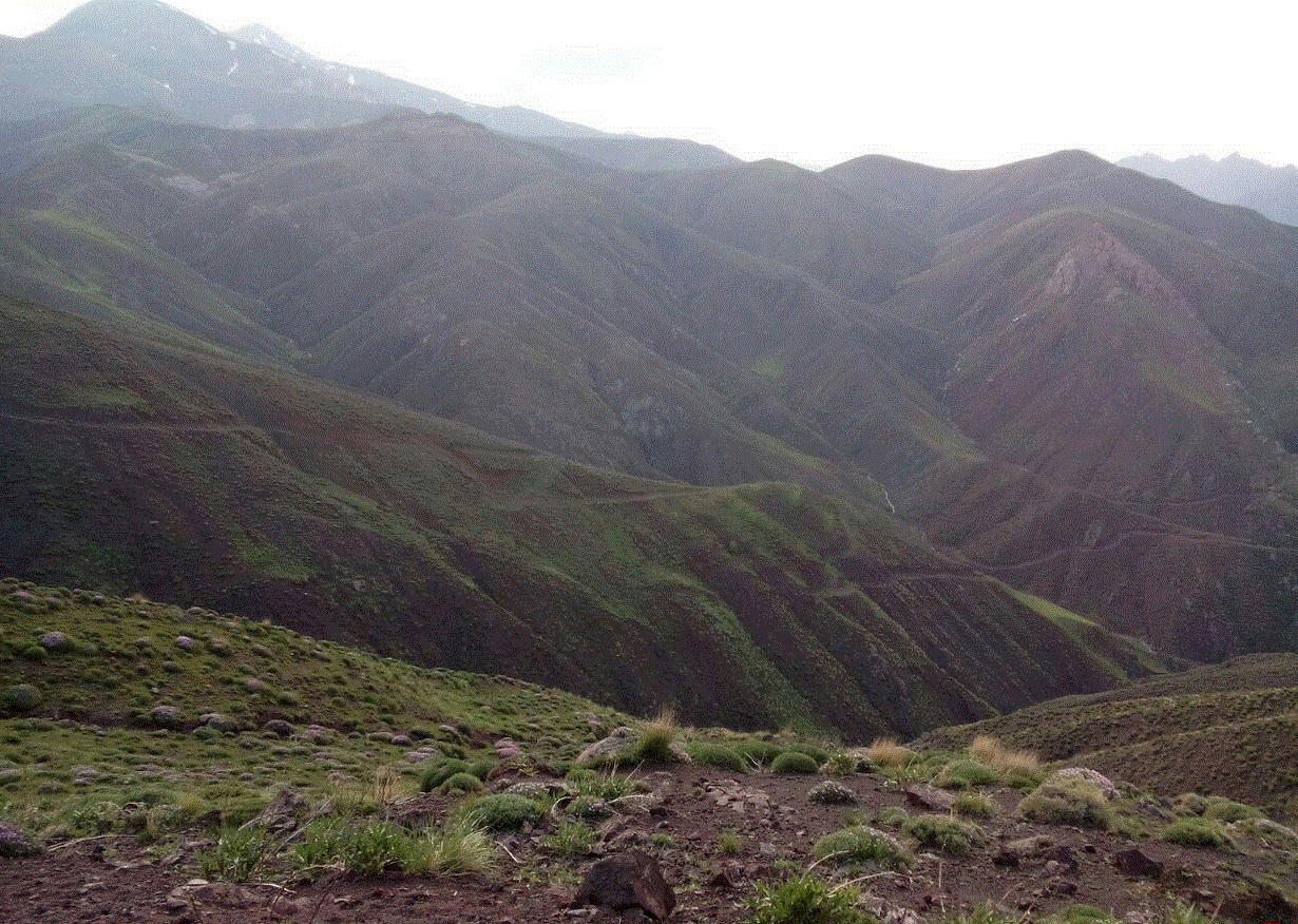 گشت و کنترل یگان حفاظت محیط زیست خوی در ارتفاعات اورین