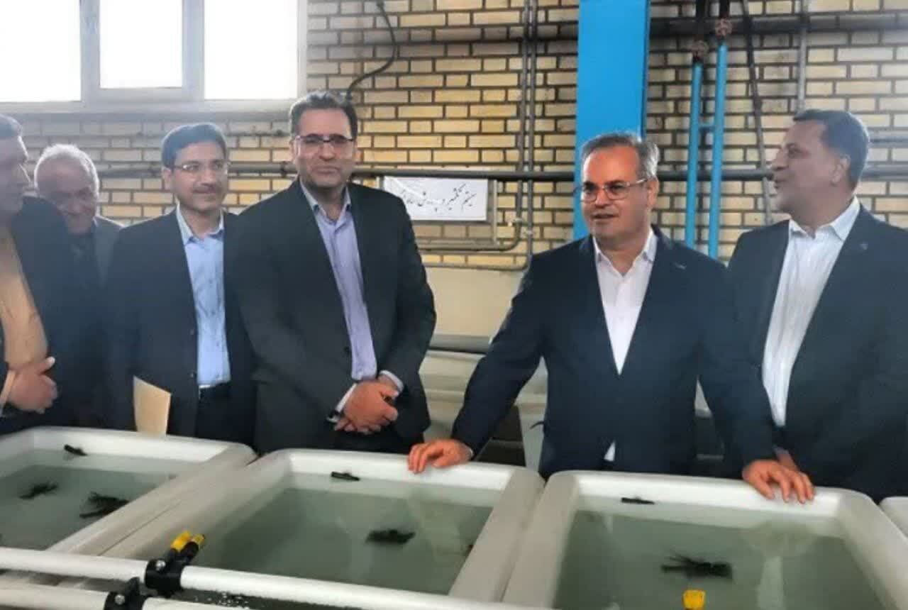 کاهش واردات و تامین امنیت غذایی افق آینده تحقیقات کشور است کاهش واردات و تامین امنیت غذایی افق آینده تحقیقات کشور است