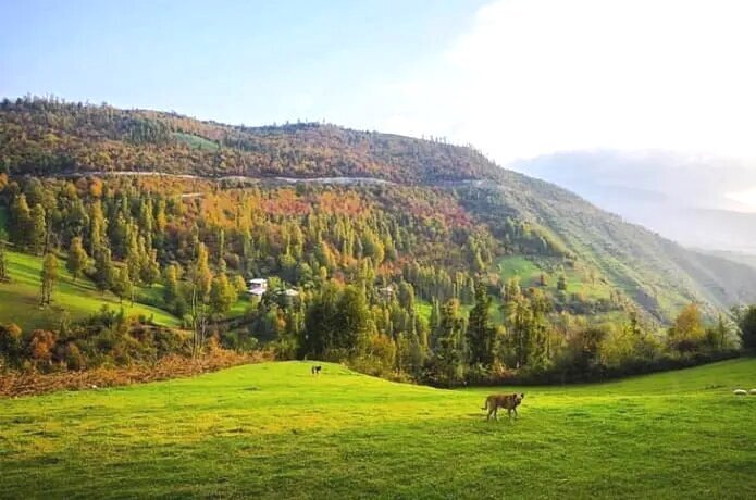 آسمان گیلان صاف و آفتابی
