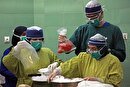 حمایت بیمه سلامت از اهدا کنندگان زنده کلیه در سمنان