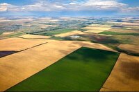 پاسخ منابع طبیعی خراسان جنوبی به ۹۷ درصد استعلامات پنجره واحد زمین