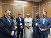 دیدار وزیر علوم، تحقیقات و فناوری با وزیر آموزش نیجریه