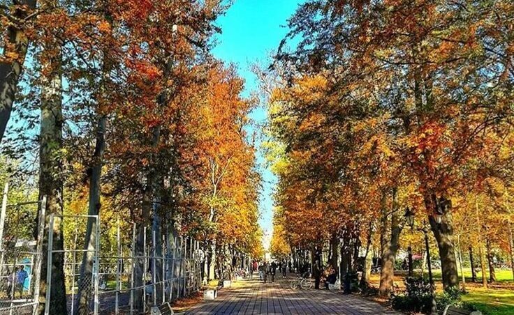 درخشش آفتاب پاییزی در گیلان تا اواسط هفته آینده