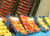 فرصتی برای درخشش ایران در بازار جهانی محصولات ارگانیک