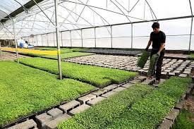 تصویب ۱۸ طرح اشتغالزا در کارگروه اشتغال گیلانغرب تصویب ۱۸ طرح اشتغالزا در کارگروه اشتغال گیلانغرب