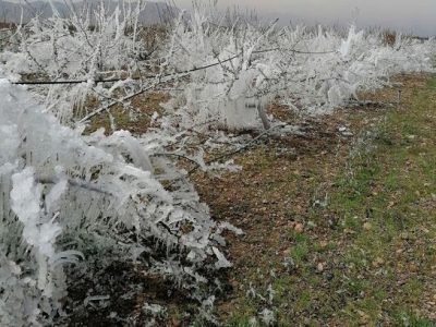 هشدار زرد هواشناسی خوزستان مبنی بر کاهش دما و یخ زدگی زمین