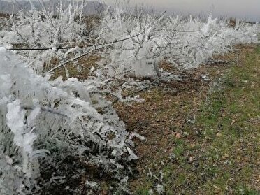 هشدار زرد هواشناسی خوزستان مبنی بر کاهش دما و یخ زدگی زمین