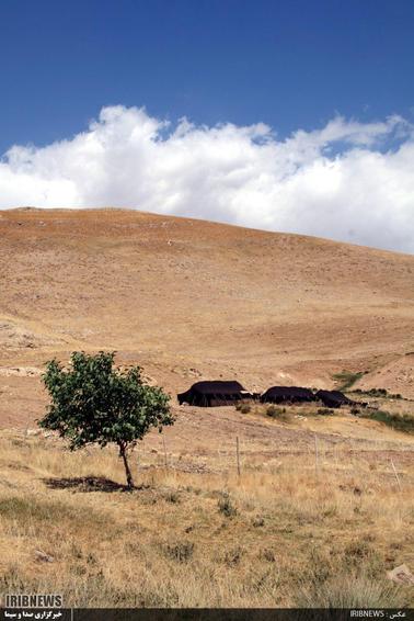 زندگی سنتی عشایر لرستان


عکاس : سپهوند